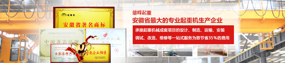 雄峰起重安徽省最大的專業(yè)起重機(jī)生產(chǎn)企業(yè)