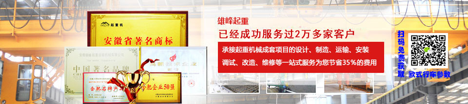 雄峰起重安徽省最大的專業(yè)起重機生產(chǎn)企業(yè)